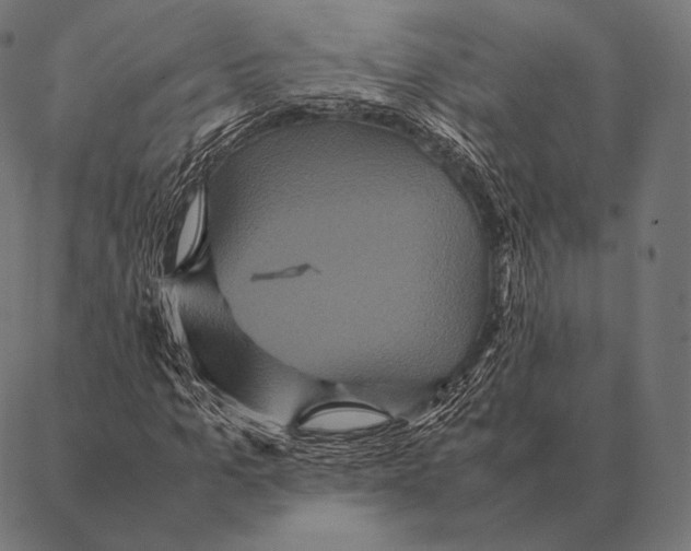 X0000087370965200705181212