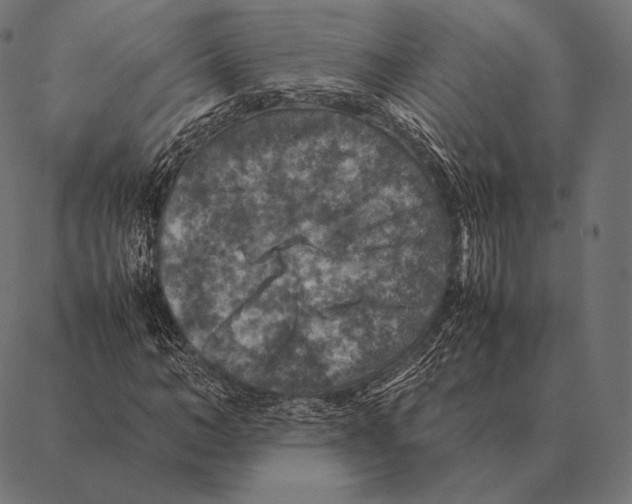 X0000087370966200705181212