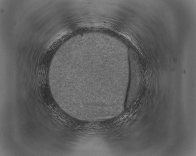 X0000087370967200705181212