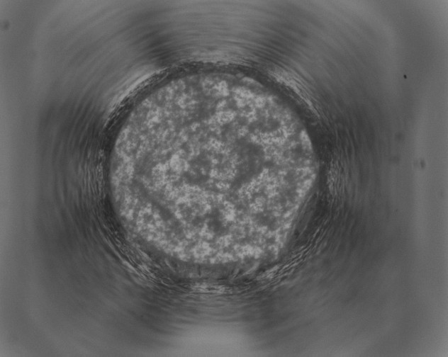 X0000087370968200705181212