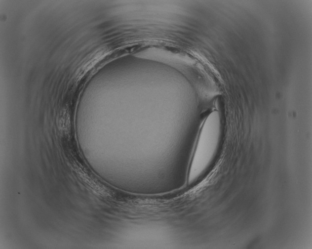 X0000087370969200705181212