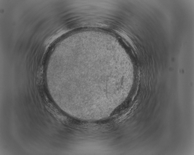 X0000087370971200705181212