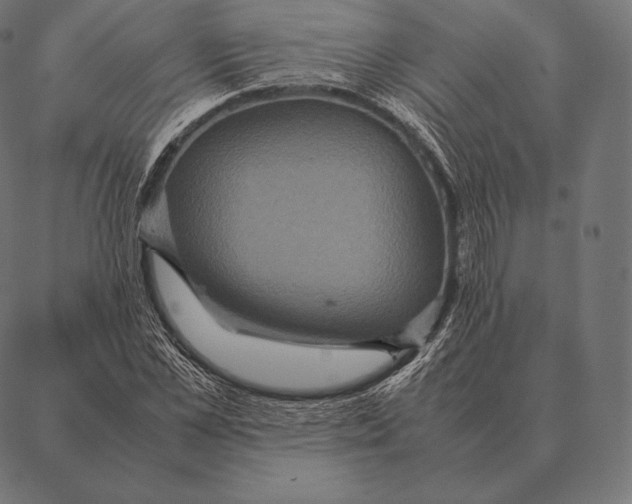 X0000087370973200705181212