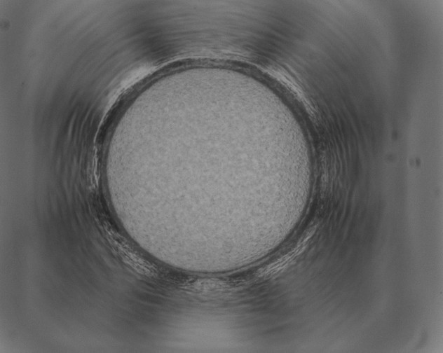 X0000087370974200705181212