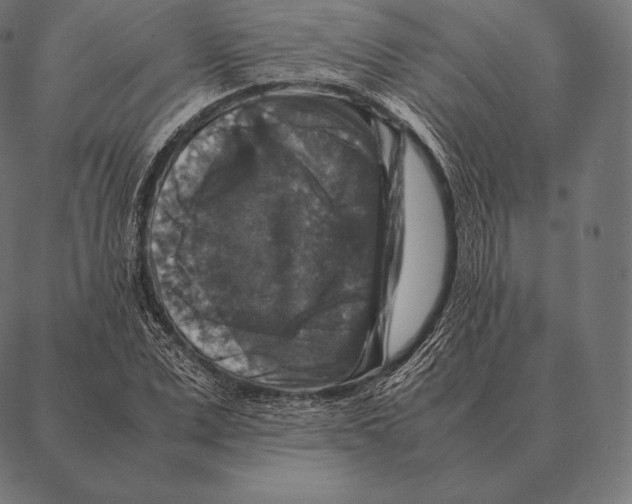 X0000087370975200705181212