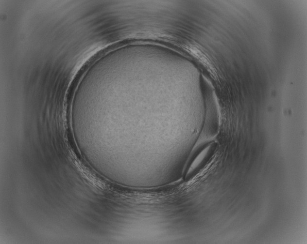 X0000087370976200705181212