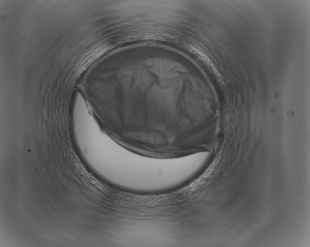 X0000087370977200705181212