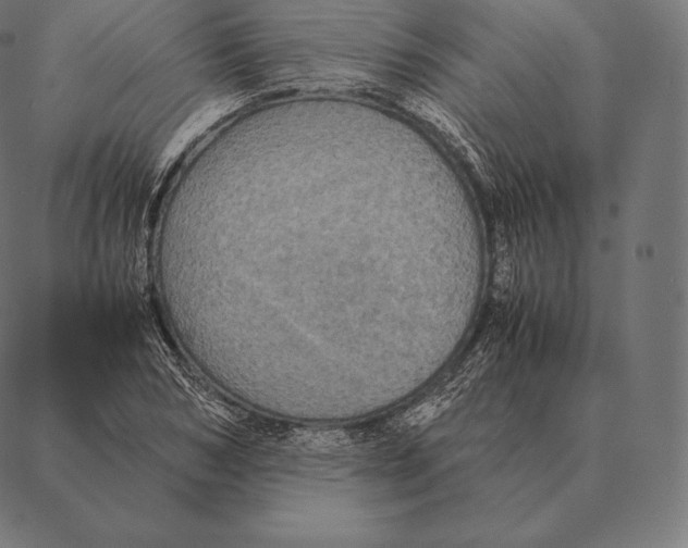 X0000087370978200705181212