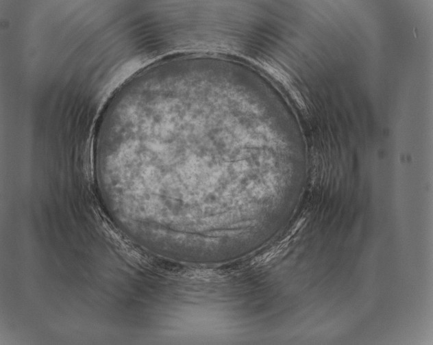 X0000087370982200705181212