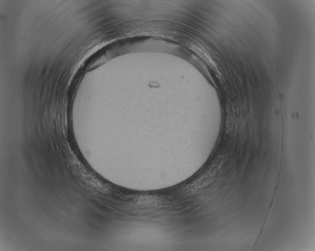 X0000087370984200705181212