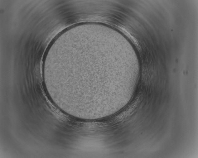 X0000087370988200705181212