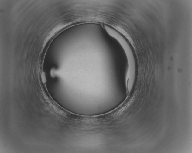 X0000087370989200705181212