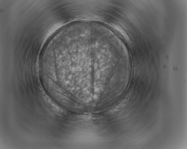 X0000087370990200705181212