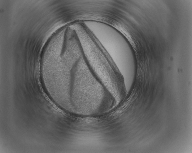 X0000087370992200705181212