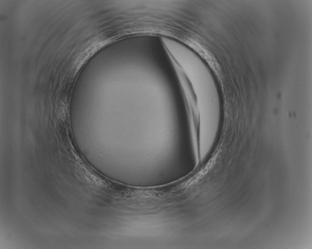 X0000087370993200705181212