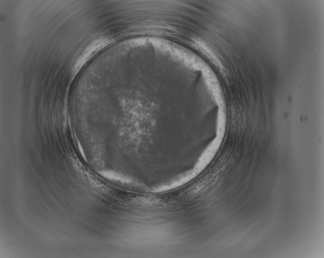 X0000087370994200705181212