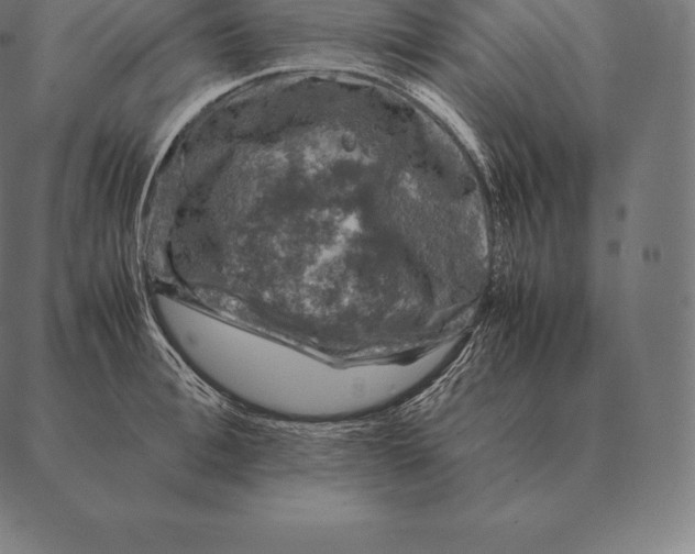 X0000087370996200705181212