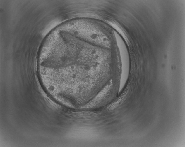 X0000087370999200705181212