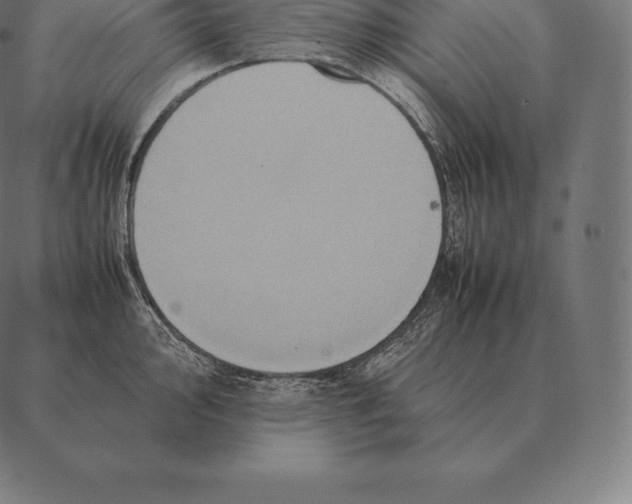 X0000087371000200705181212