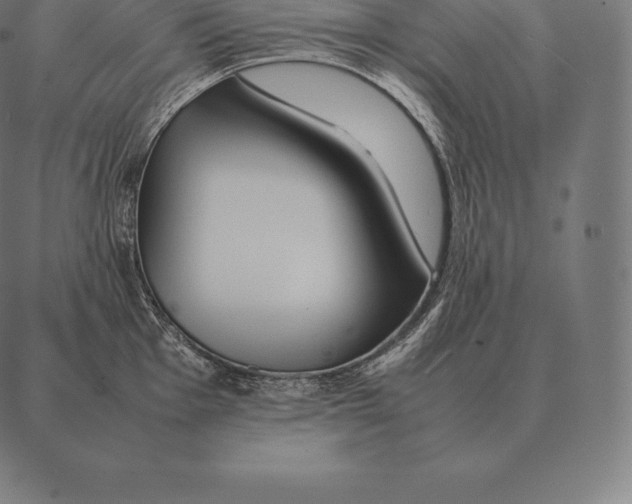 X0000087371001200705181212