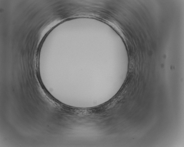 X0000087371003200705181212