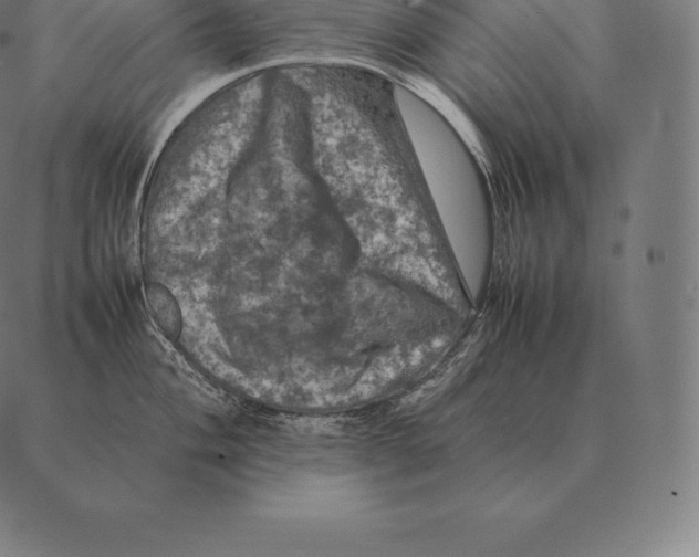 X0000087371004200705181212