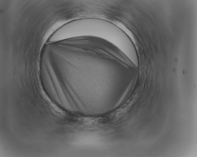 X0000087371005200705181212