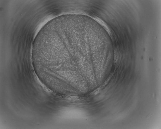 X0000087371006200705181212