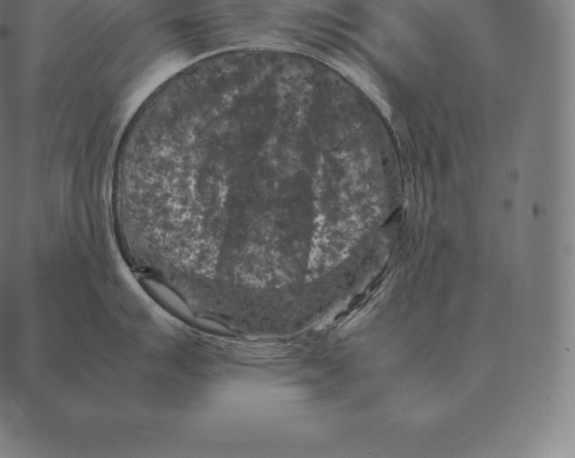 X0000087371007200705181212