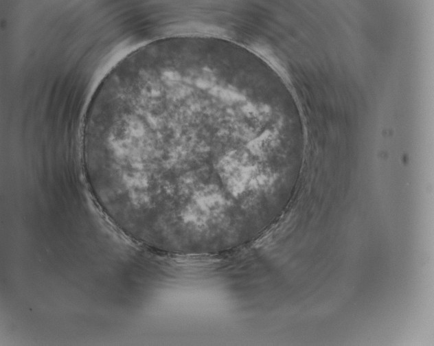 X0000087371008200705181212