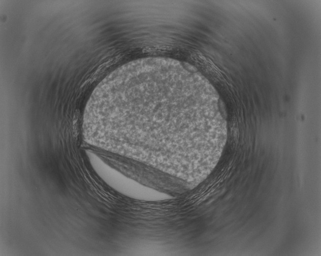 X0000087371012200705181211