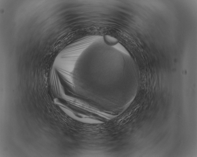 X0000087371013200705181211