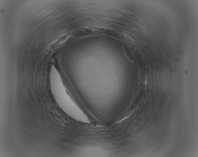 X0000087371014200705181211