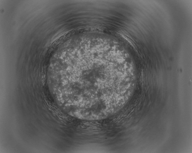 X0000087371015200705181211