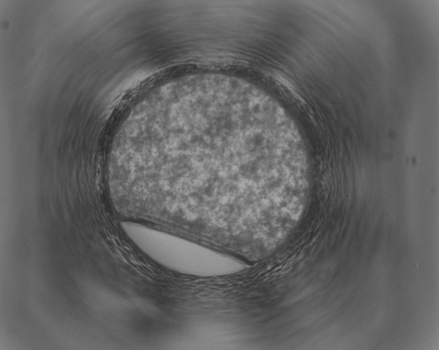 X0000087371016200705181211