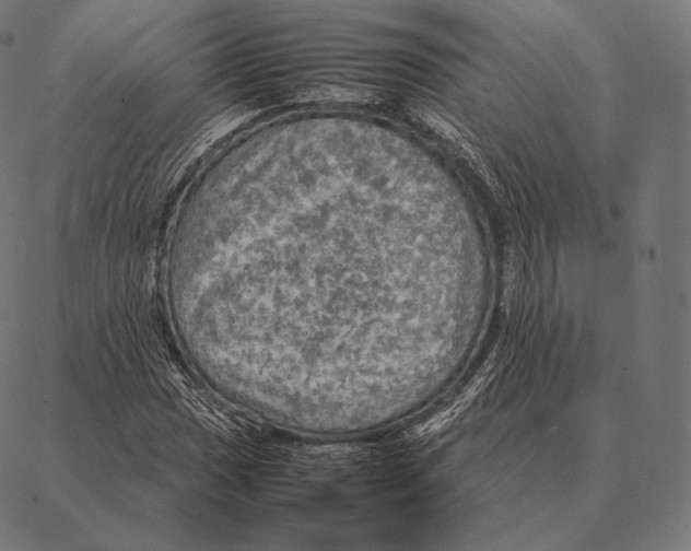 X0000087371017200705181211