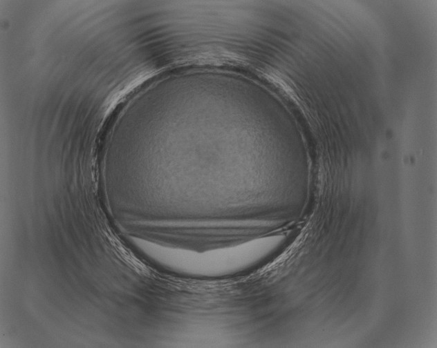 X0000087371018200705181211