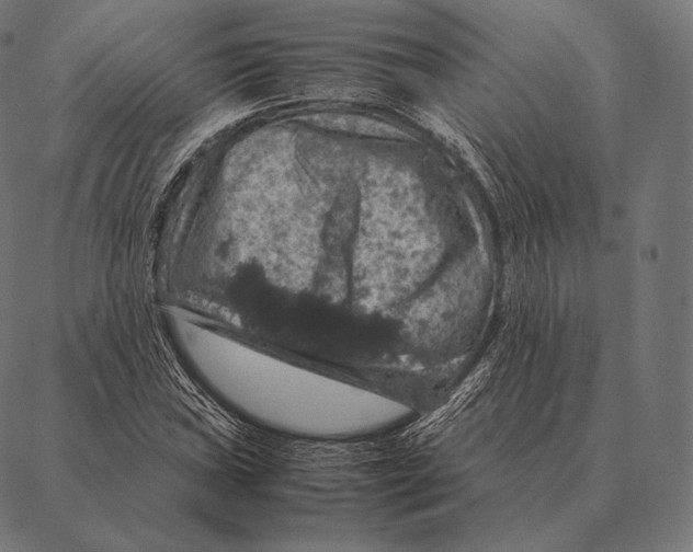 X0000087371019200705181211