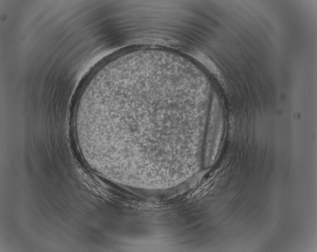 X0000087371020200705181211