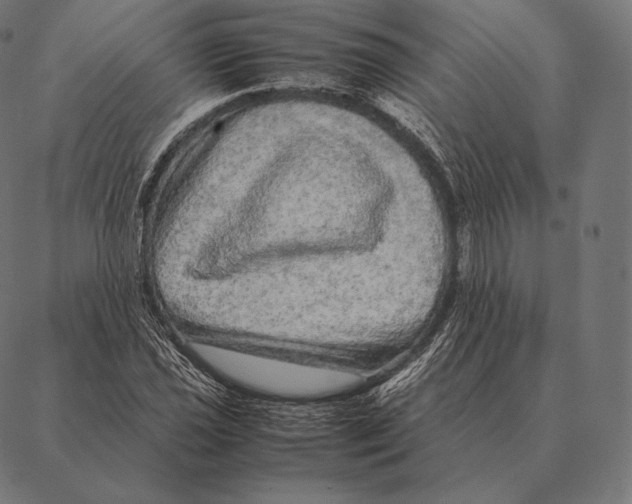 X0000087371021200705181211