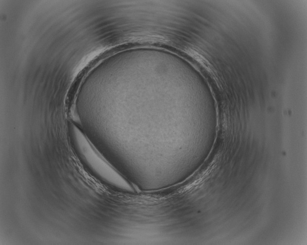 X0000087371022200705181211