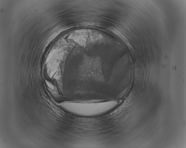 X0000087371023200705181211