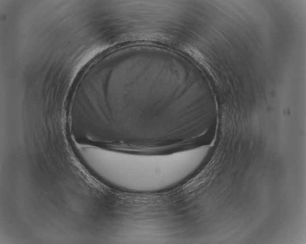 X0000087371024200705181211