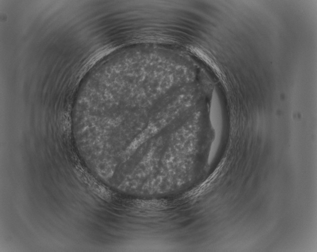 X0000087371025200705181211