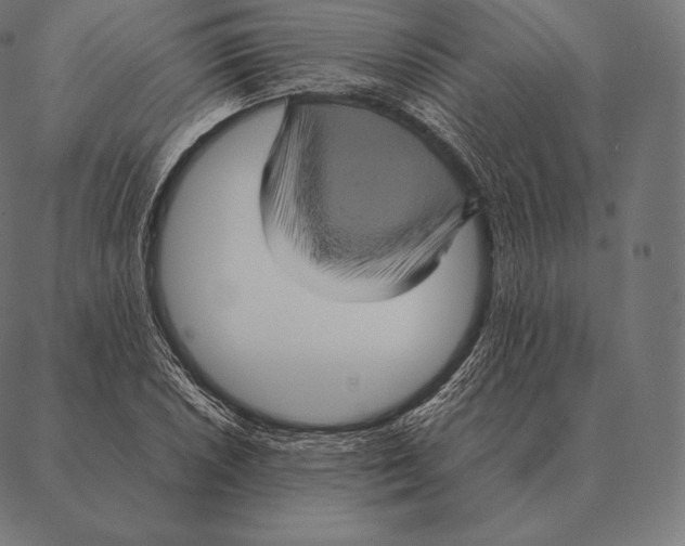 X0000087371026200705181211