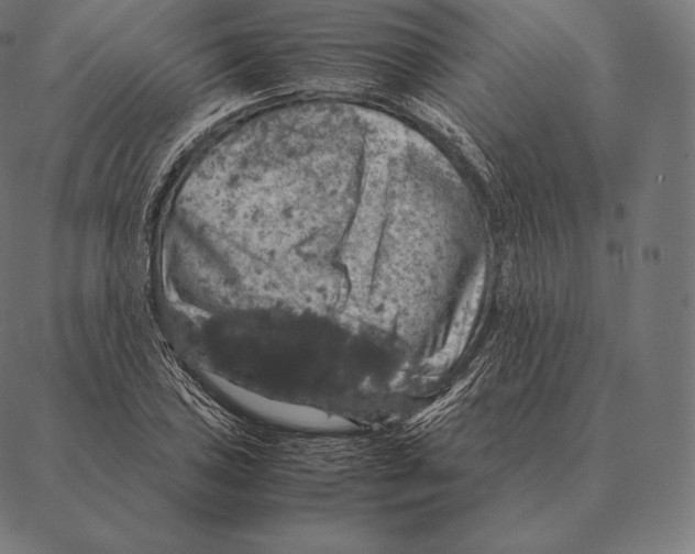 X0000087371027200705181211