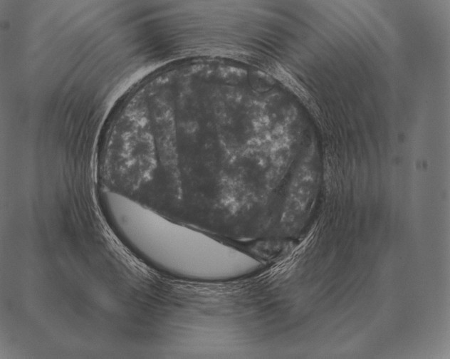 X0000087371028200705181211