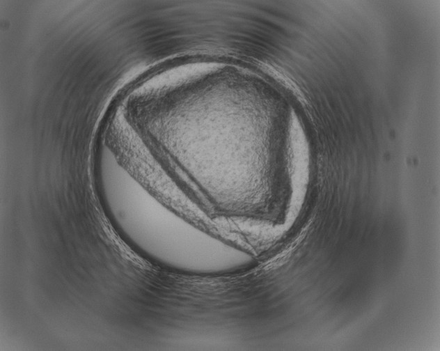 X0000087371029200705181211