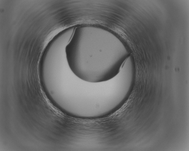 X0000087371030200705181211