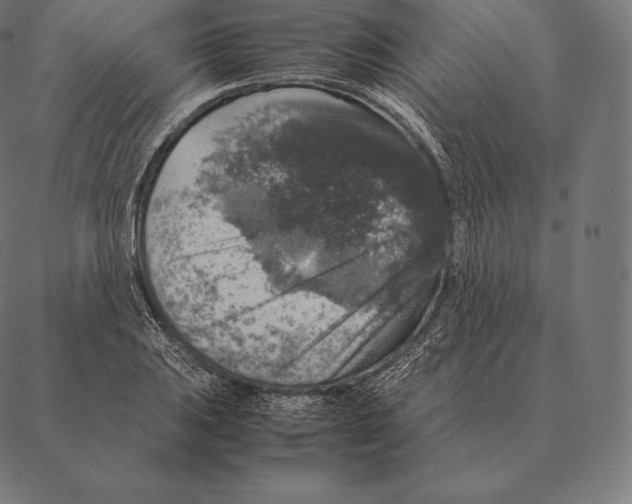 X0000087371031200705181211